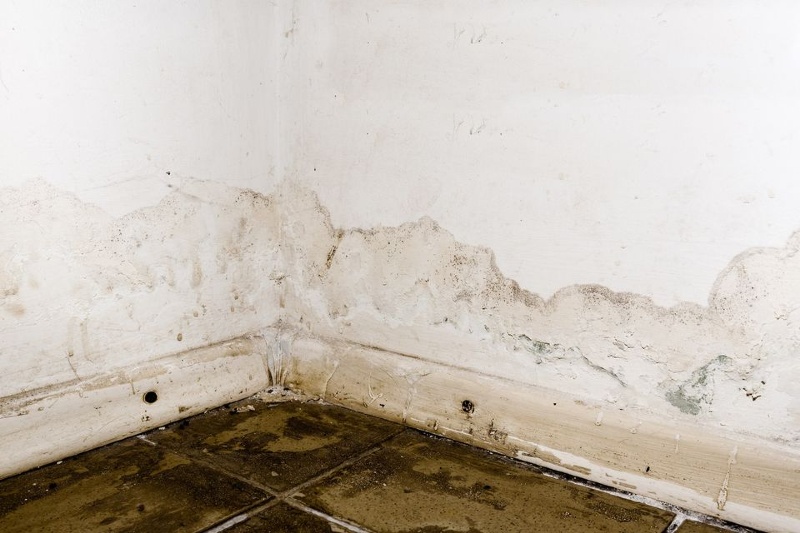Knott's Property Restoration - an example of needed mold remediation in wall and floor areas of interior building home in Clarksville, Tennessee